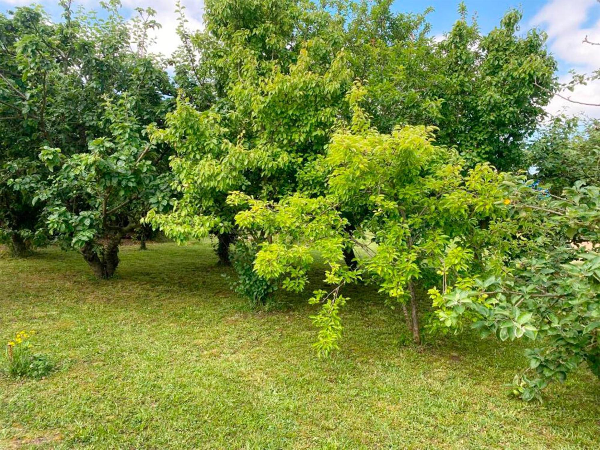 Apartamentos Via Street 3000 Hinojedo Zewnętrze zdjęcie